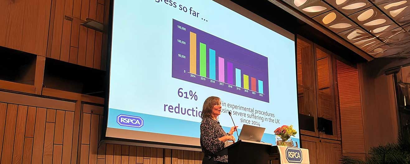 Dr Penny Hawkins presenting at the 5th international meeting in Netherlands.