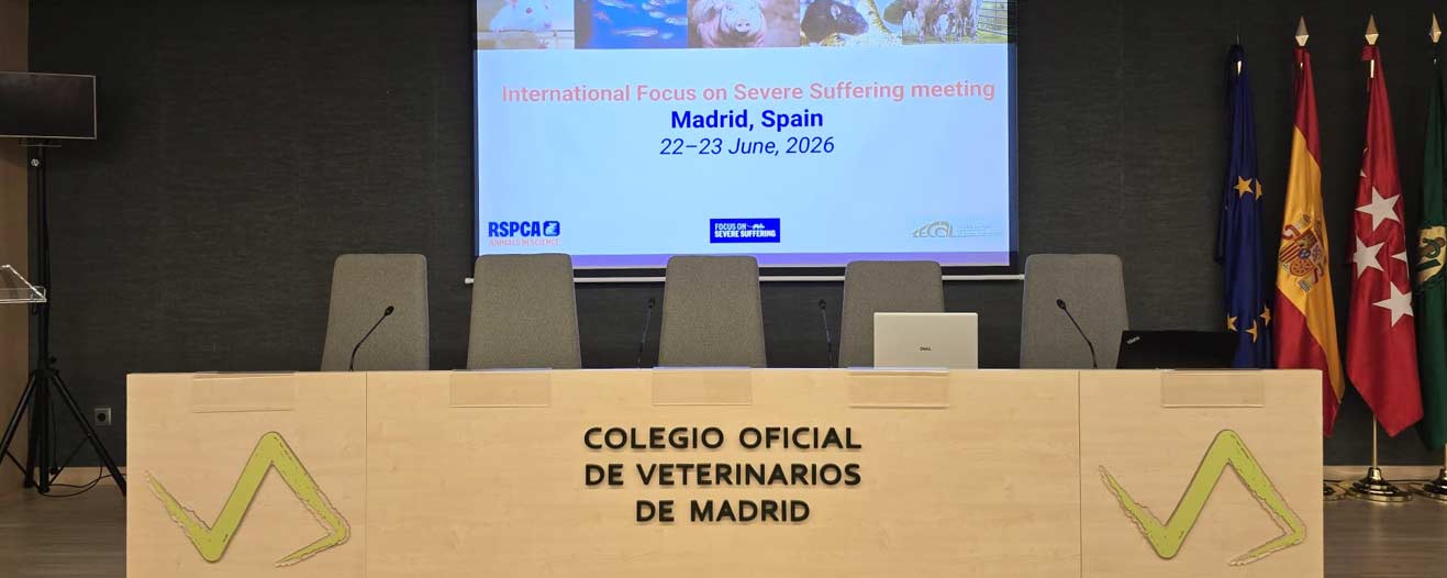 7th international focus on severe suffering meeting in progress in Spain
