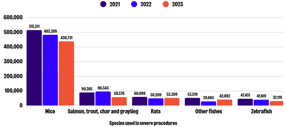 Bar chart showing species used in severe procedures.
